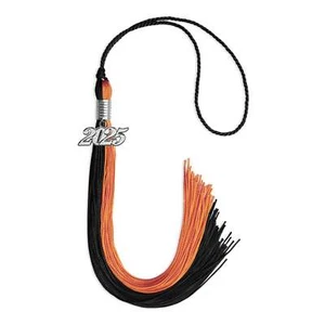 Endea Graduation Black/Orange Tassel with Silver Date Drop - Picture 1 of 17