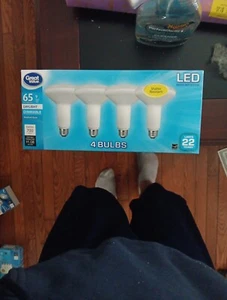 LED Light Bulb, 9W (65W Equivalent) BR30 Floodlight E26 Med Base 4 pk - Picture 1 of 5