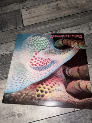 String Driven Thing - The Machine That Cried - 12” Vinyl Record LP 1973 UK Prog - Immagine 1 di 4