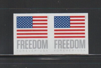 US ERROR Stamps: #5789Ab Forever Flag 2023: VF Die cut Omitted coil pair. MNH - Image 1 of 2