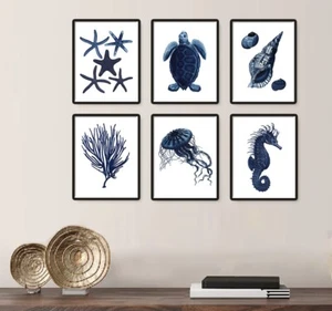 Seashells Coral Seahorse Navy Blue Beach Wall Art Decor Set of 6 Prints 8.5x11 - Picture 1 of 7