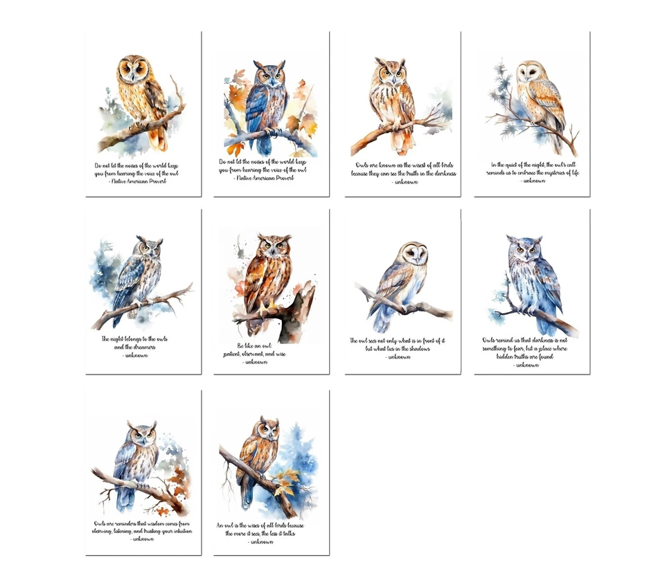 10 tarjetas en blanco hechas a mano Owl 4x6 con sobres tarjetas hechas a mano Foto 1 de 4