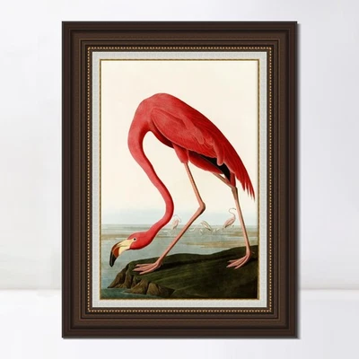 Lienzo enmarcado impresión Giclee American Flamingo por John James Audubon decoración del hogar Foto 1 de 4