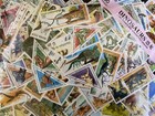 Thematic Stamp Packet -  Dinosaur on stamps 100 Difference  + Free Gift