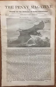 Kalong Fledermaus großer fliegender Fuchs 1834 Sueno's Steinsäule Schottland-Nafplio Griechenland - Bild 1 von 5