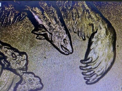 2008 P Alaska State Quarter 6th Claw Error Coin - Image 1 of 4