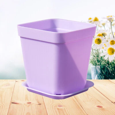  10 Pcs Saftige Töpfe Mini-Sukkulentöpfe Quadratischer Blumentopf Aus Kunststoff - Bild 1 von 4