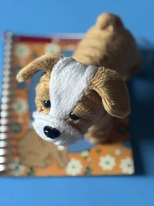 MUÑECA AMERICAN GIRL PERRO MASCOTA, PASTEL DE CARNE EL BULLDOG y Boom Nueva Sin Etiquetas - Imagen 1 de 9
