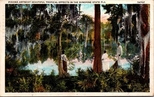 FISHING in TROPICAL SCENE Sunshine State FLORIDA FL c1934 Postcard - Picture 1 of 2