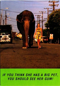 If You Think She Has A Big Pet, You Should See Her Gum! Stimorol Elephant BS22 - Picture 1 of 2