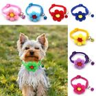 Multicolor Kitten Cat Necklace with Bell Pet Supplies New Cat Collar