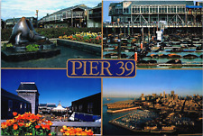 Postcard San Francisco California Multi View of Pier 39