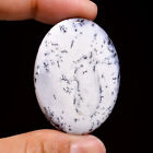 AAA+ pierre précieuse lâche en forme ovale dendrite naturelle cabochon 60 ct. 41 x 30 x 6 mm
