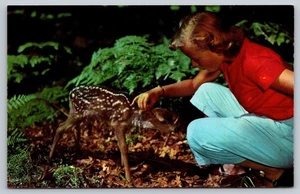 Postcard Deer Fawn Baby with Spots Loves Young Girl Unposted c1950s Forest VTG - Picture 1 of 2