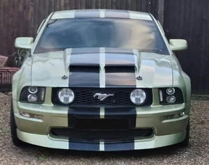 Calcomanía de vinilo a rayas para Ford Mustang-Shelby para carreras rayas víbora para Hood-Ro - Imagen 1 de 3