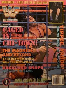 WWF Magazine November 1994 BRET "HIT MAN" HART   Caged In Chi-Town       C - Picture 1 of 14