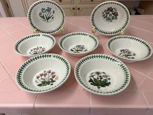 7-Piece Botanic Garden Susan Williams Ellis Portmeirion Soup Bowl Set Pre-Owned - Picture 1 of 11
