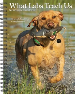 What Labs Teach Us 2026 6.5" x 8.5" Engagement Calendar - Picture 1 of 6