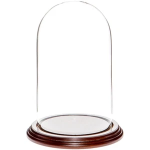 Plymor 4.5" x 8" Glass Display Dome Cloche (Dark Mahogany Veneer Base) - Picture 1 of 2