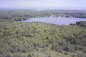 Baugrundstück in Kanada Nova Scotia nahe Liverpool am Atlantik - Bild 1 von 15