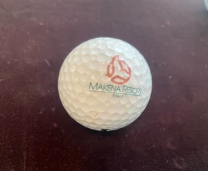 Vintage MAKENA RESORT MAUI WHALE Logo Golf Ball Aloha NIKE DISTANCE CONTROL - Picture 1 of 3