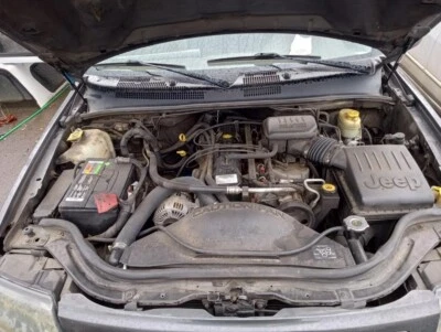 Used Deck Lid fits: 2004 Jeep Grand cherokee privacy tint glass Grade A Foto 1 de 4