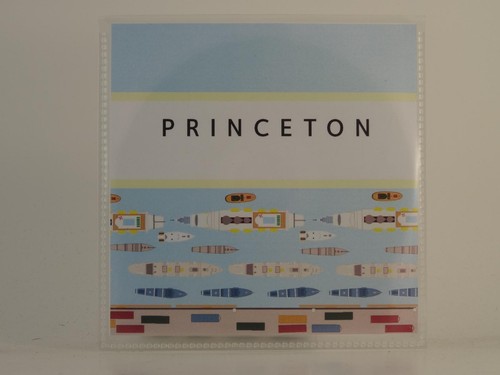 PRINCETON CALYPSO GOLD (H1) 1 Track Promo CD Single plus Picture Sleeve ...