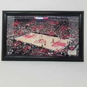 Chicago Bulls Highland Mint 12'' x 19'' 2011 NBA Signature Court Photo Framed - Afbeelding 1 van 6