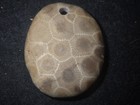 Unpolished Petoskey Stone Pendant
