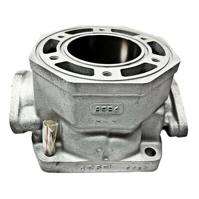 Nuevo Cilindro Plateado Arctic Cat 440 LC 93-94 ZR440 440 ZR 3004-199 89B4  Foto 1 de 4