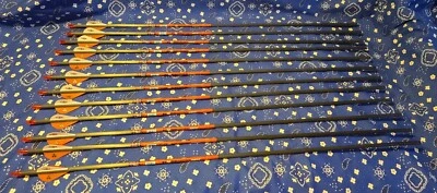 12 BARNETT BLOODSPORT HUNTER 5575 CARBON ARROWS COMPLETE BLAZER VANES - Image 1 of 4