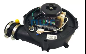 Conjunto de motor inductor de exhuast Lennox Ducane Armstrong Jakel FABRICANTE DE EQUIPOS ORIGINALES 50M69 - Imagen 1 de 1