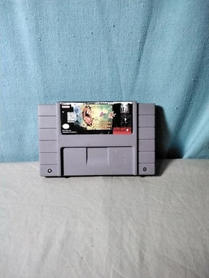 Timon and Pumbaa Jungle Games Super Nintendo SNES Authentic Cart Only Tested! - Image 1 of 4