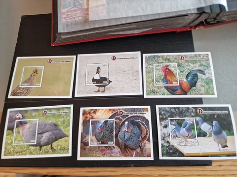 MALAWI 2018 M/S DOMESTIATED BIRDS MNH Cover