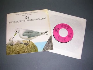 Ornithologie guide J.C Roché sonore des oiseaux d'Europe 24 sternes, mouettes... - Picture 1 of 1