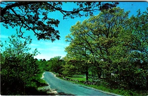Postcard Single Lane Road through Countryside Stone Wall - Picture 1 of 2