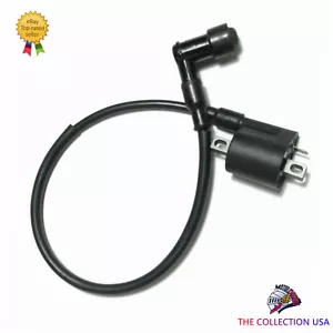 Magneto de bobina de encendido para Baja Reaction 150 Br150-1 Go Kart y 150cc Go Kart Nuevo - Imagen 1 de 2