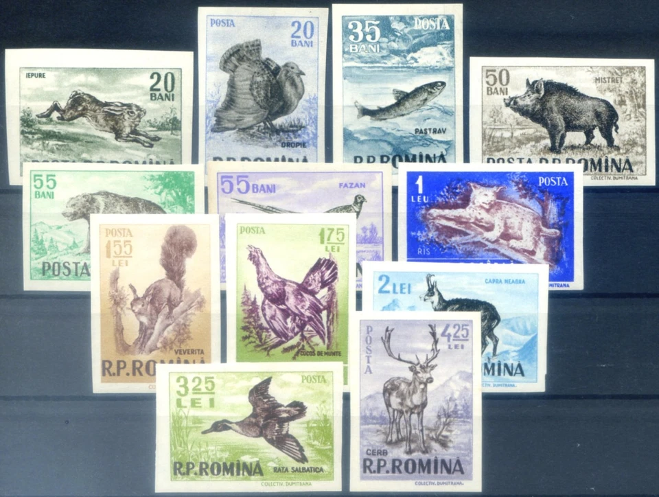 Rumanía. Caza y pesca 1956. No dentado. Foto 1 de 1