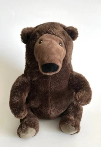 Kohls Cares Grizzly Bear 10" Plush A Perfect Day Teddy Stuffed Animal Toy EUC - Picture 1 of 3