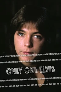 "DAVID CASSIDY" (FOTO) ""La FAMILIA PARTRIDGE" 006 - Imagen 1 de 1
