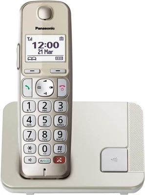 Panasonic Schnurloses Telefon (Set) KX-TGE250GN - Bild 1 von 4