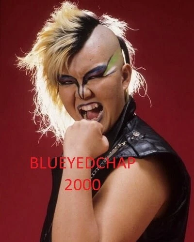 FOTO DE LUCHA LIBRE BULL NAKANO CHICA LUCHADORA 8 X 10 WWF Foto 1 de 1