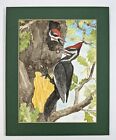 Original Watercolor Painting Pileated Woodpecker Feeding Baby 10x8” Birds Art