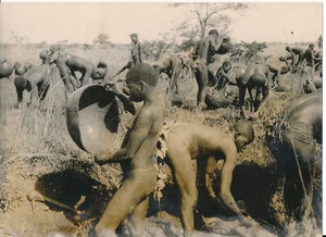 CÔTE D'IVOIRE c. 1945 - Ruée vers l'Or à Doudou Afrique - A.O.F. 37 - Picture 1 of 1
