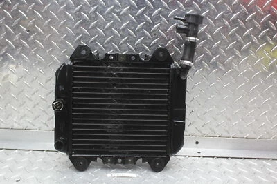 Kawasaki Ninja 250R Ex250F 2006 radiador motor enfriador radiador de refrigeración Foto 1 de 4