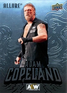 B6778- 2024 Upper Deck Allure AEW Wrestling 1-100 -You Pick- 15+ FREE US SHIP - Picture 1 of 115