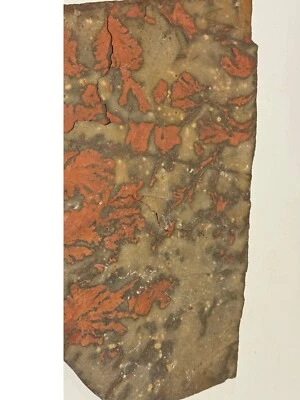 DENDRITE HELECH UTAH #2 Foto 1 de 2