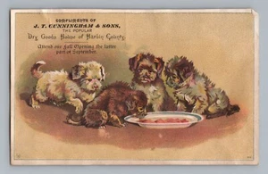 JT Cunningham Hardin County Dogs Puppy Opening Victorian Trade Card - Picture 1 of 2