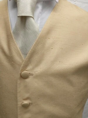 Heirloom Gold Waistcoat, Ascot, Weddings, Funerals, Formal, Prom, Evening, Event - Image 1 of 4
