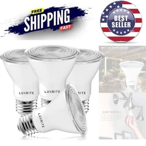 Upgrade Indoor & Outdoor Lighting with 4 Pack Dimmable LED Bulbs, 500 Lumens - Picture 1 of 8